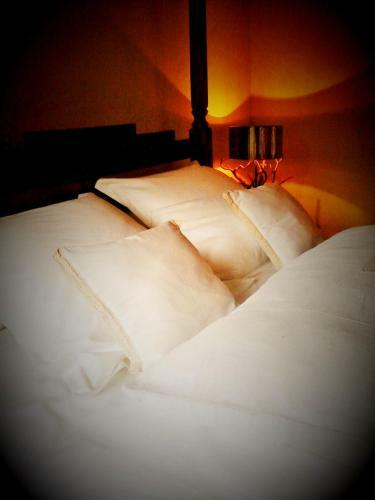 Bed & Breakfast Les Tr�sors de Malle Mialle