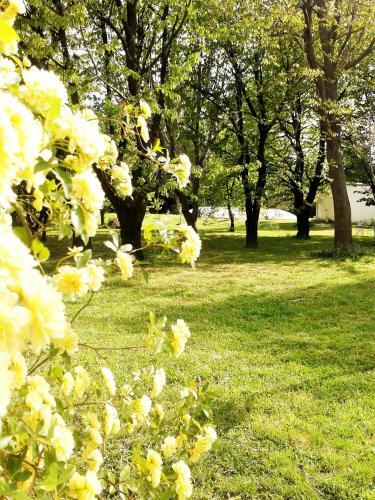 Bed & Breakfast Les Tr�sors de Malle Mialle
