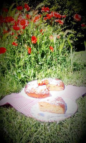 Bed & Breakfast Les Tr�sors de Malle Mialle