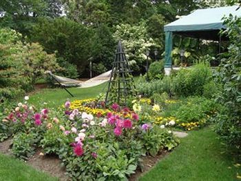 Bed & Breakfast The Hedges Inn