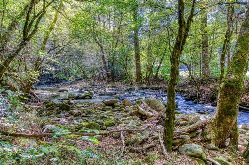 Sonshine By The Stream