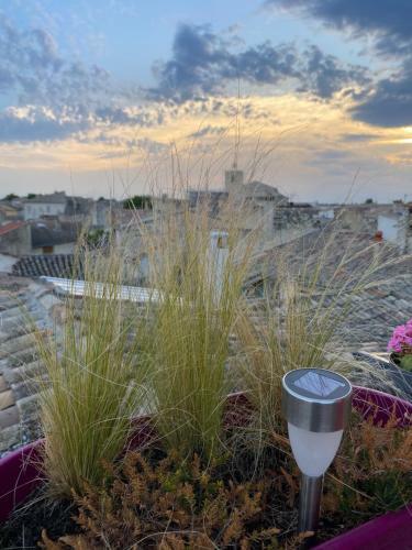 Apartamentos Le Belvedere