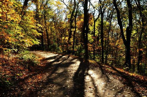 Parson's Retreat