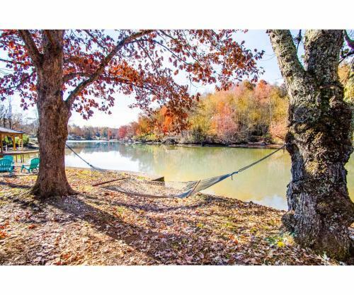Classic Lake House Lakefront With Fire Pit And Dock