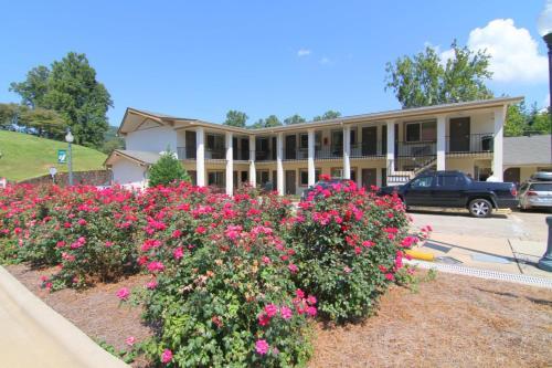 Motel Blue Ridge Inn