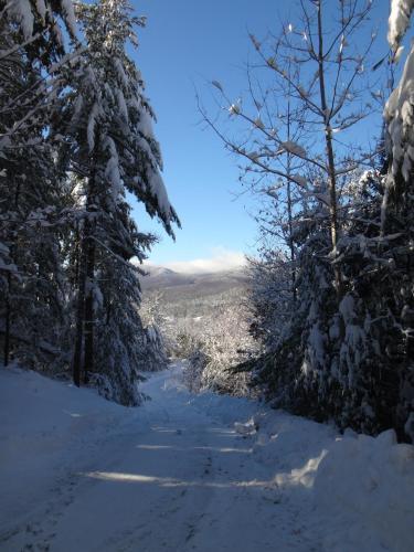 Ebs View Lodge