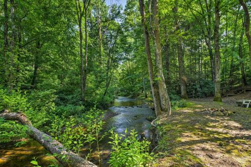Tellico Plains Cabin - 25 Acres, Backyard Creek!