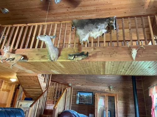 Whites Creek Lodge