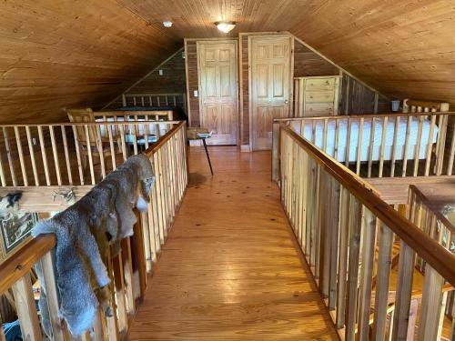 Whites Creek Lodge