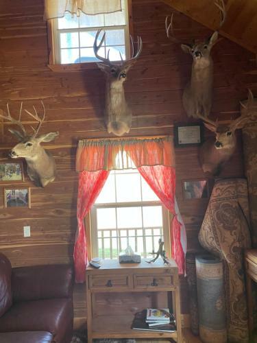 Whites Creek Lodge