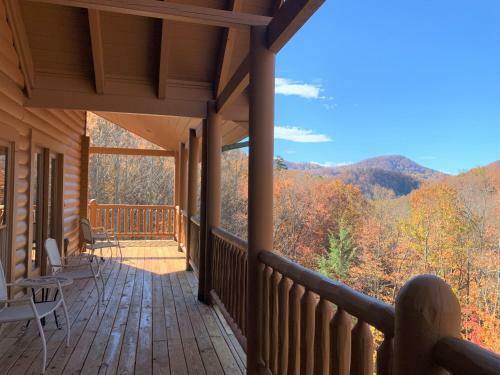 Absolute Bearadise Cabin