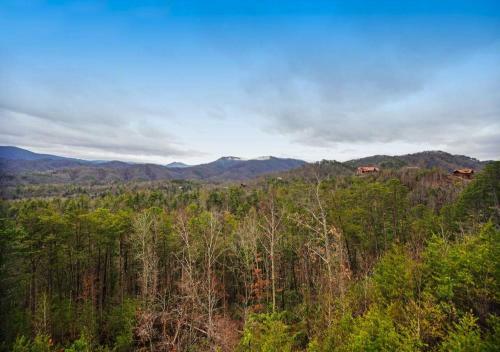 Beyond Expectations - Pigeon Forge, Tn By Ts