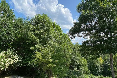 Peaceful 4bed/3.5bath Luxury Cabin, Hot Tub!