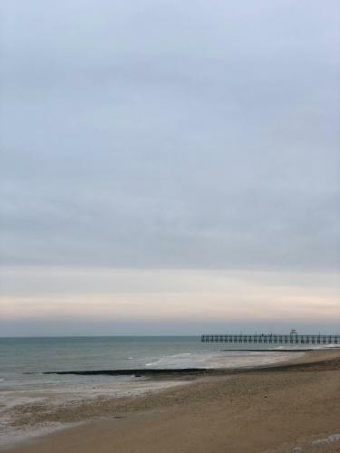 Apartamento Superbe Appartement � 30m de La Mer- 45m2