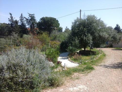 Hostal Ecoutez Les Oiseaux