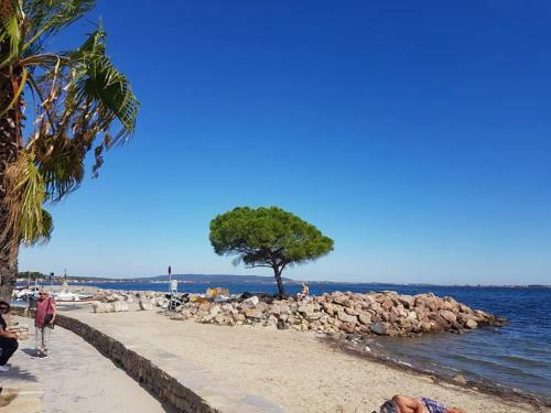 Entre Mer Et C�v�nnes