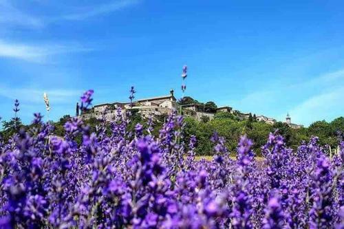 Villa de Vacances Avec Piscine Lussan(Proche Uzes)