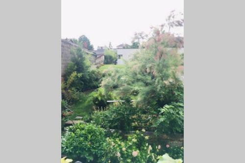 Apartamento Chez Ang�le Centre M�con Appartement Chaleureux