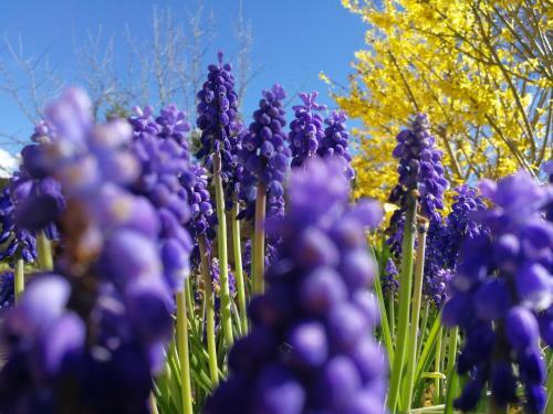 La Malinette B&b, Calme Et Authenticit�