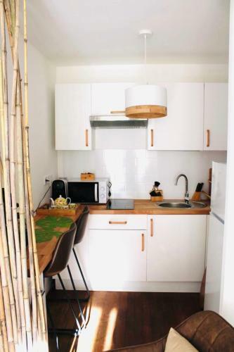 Apartamento Studio Zen Gare Part Dieu