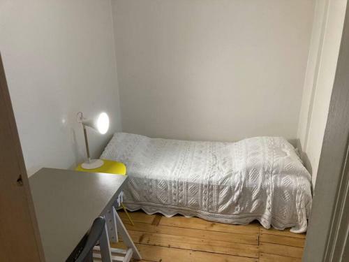 Comfortable Apartment In The Center Of Lyon