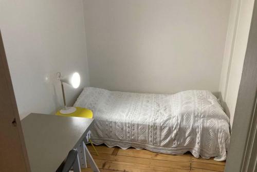 Comfortable Apartment In The Center Of Lyon