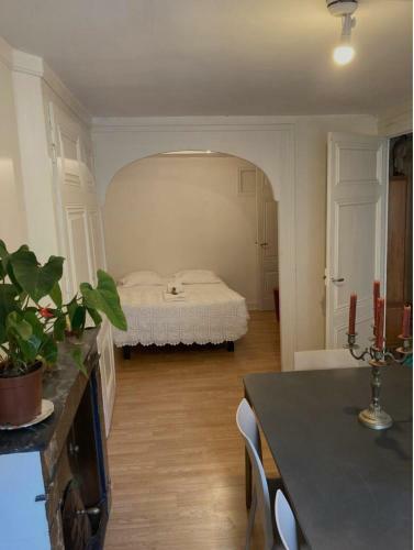 Comfortable Apartment In The Center Of Lyon