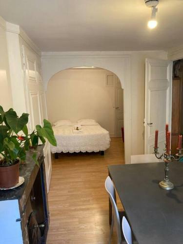 Comfortable Apartment In The Center Of Lyon