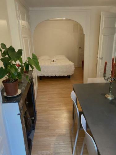 Comfortable Apartment In The Center Of Lyon