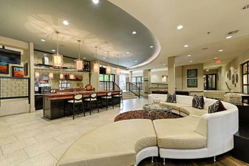 Apartamento 1 Br Dallas Suite,central Location For Activities