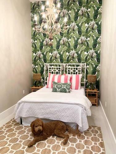 Apartamento Banana Bay @emilysontheisland