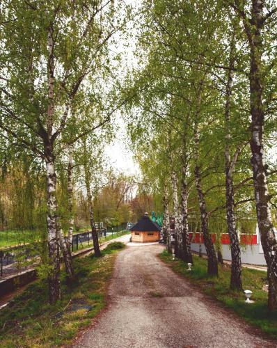 Bed & Breakfast Au Hameau de L'ecluse Proche Europa-park