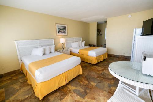 American Safari Motel