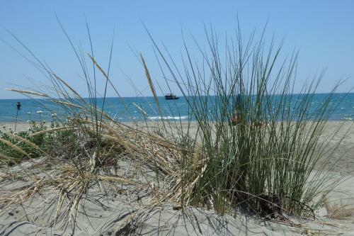Apartamento Les Soleillades Parking 200 M�tres Plage