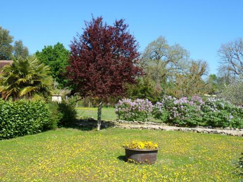 Hostal Domaine de La Vaysse Chambres D'h�tes