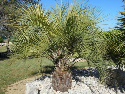 Hostal Gite Anduze Le Clos Des Cigales