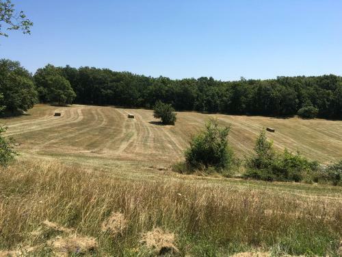 Un Chemin En Quercy