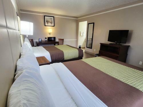 Hotel Flex Studios