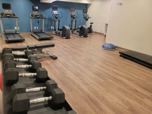 Hotel Holiday Inn Express Maspeth