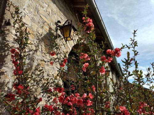 Bed & Breakfast Le Voil�
