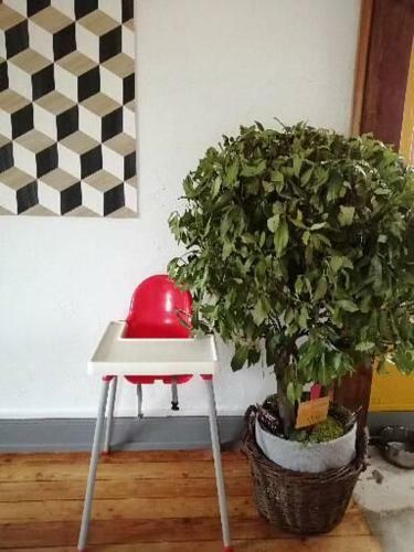 Apartamento La Brocante de Madame Carotte