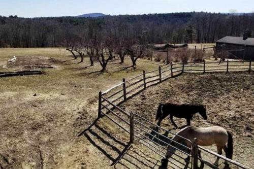 Hemlock Ridge Farm