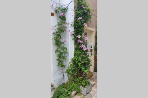La M�zon Aupr�s de L?eau 3 Chambres