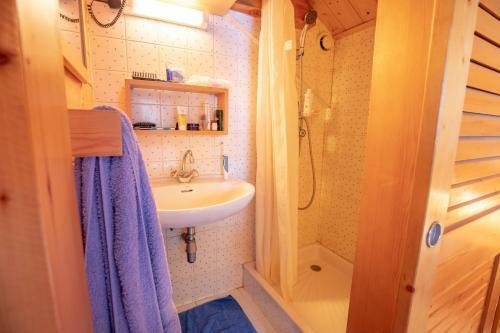 Chalet Echavidre