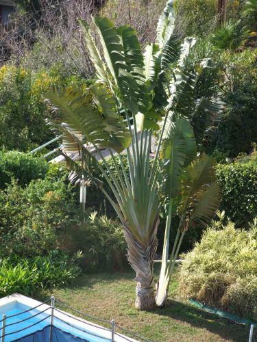 Apartamento Appartement Au Chateau Vallaya