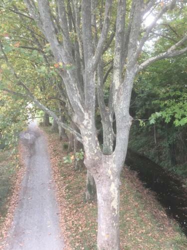 Apartamento Domaine de L?herbe Sainte
