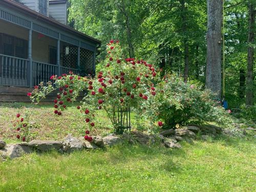 Hostal The Cottage At Rebel?s Run @ Afton Mountain