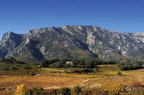 G�te Coeur de Ch�taigne � Partir de 17? /nuit