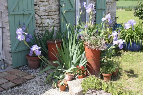 Apartamento Bouye Gite Accommodation