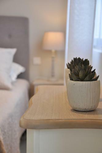 Hostal A L'or�e Des Vignes